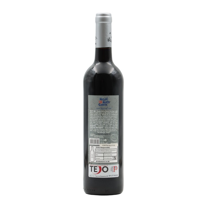 Nazaré North Canyon Rosso 2017