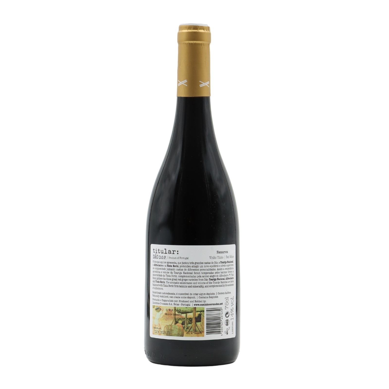 Titular Reserve Red 2020