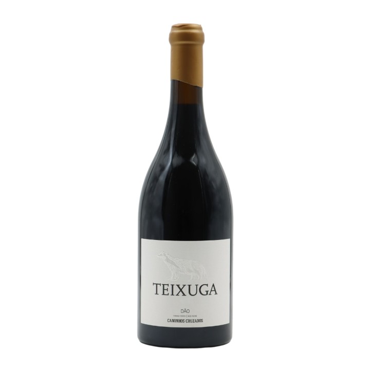 Teixuga Red 2020