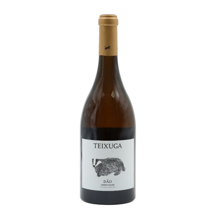 Teixuga Bianco 2019