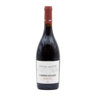 Caminhos Cruzados Tinto 2021