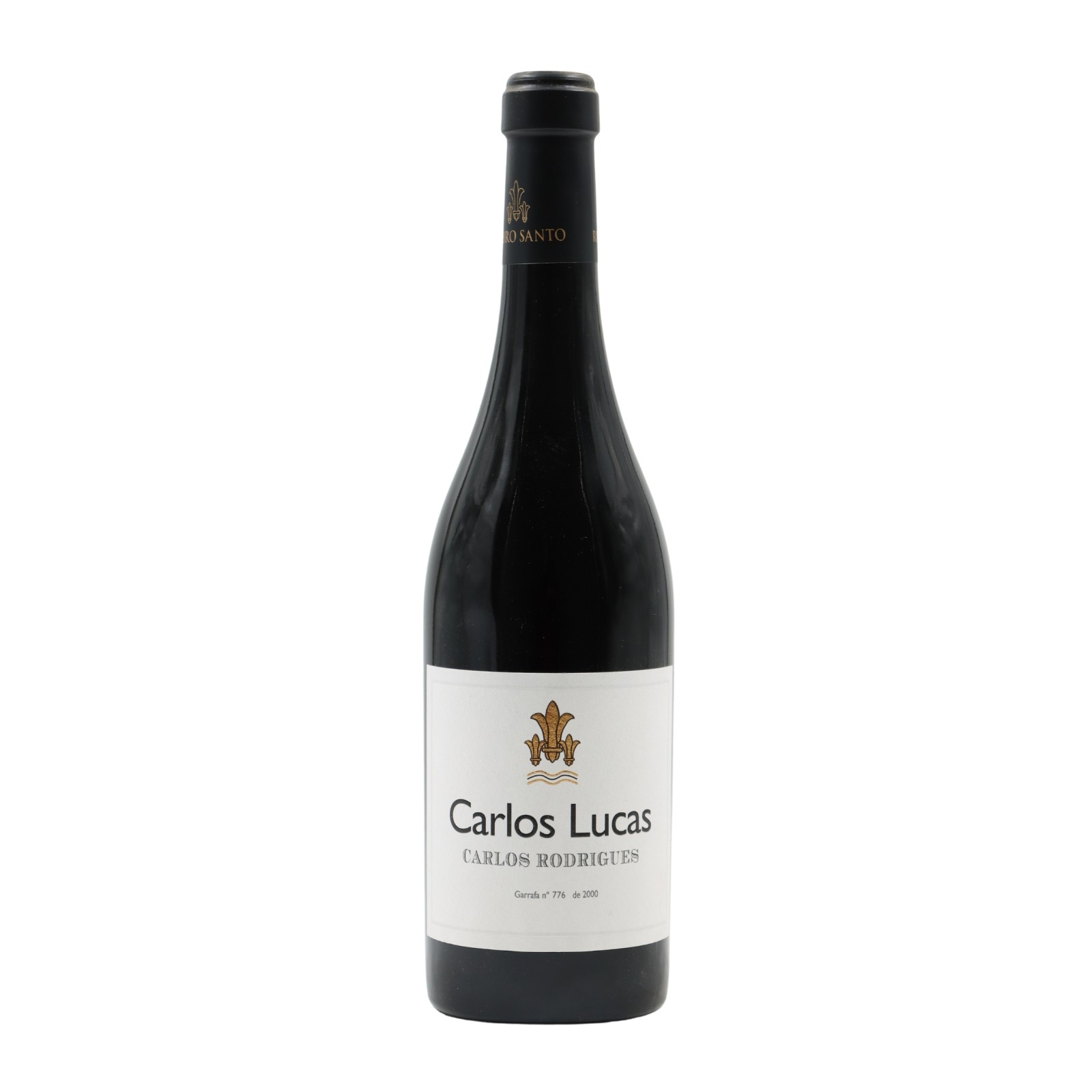 Carlos Lucas & Carlos Rodrigues Rot 2015