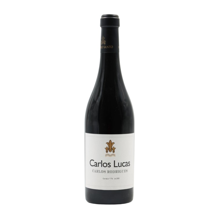 Carlos Lucas & Carlos Rodrigues Rot 2015
