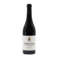 Carlos Lucas & Carlos Rodrigues Rot 2015