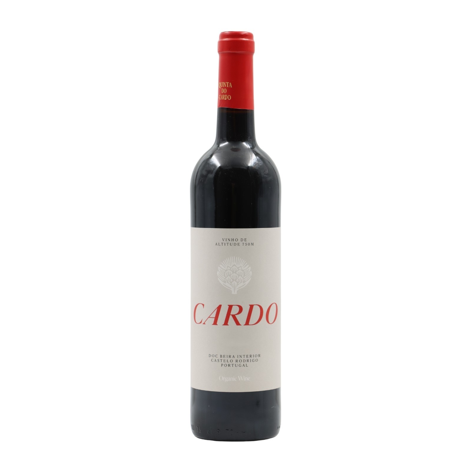 Cardo Rosso 2022