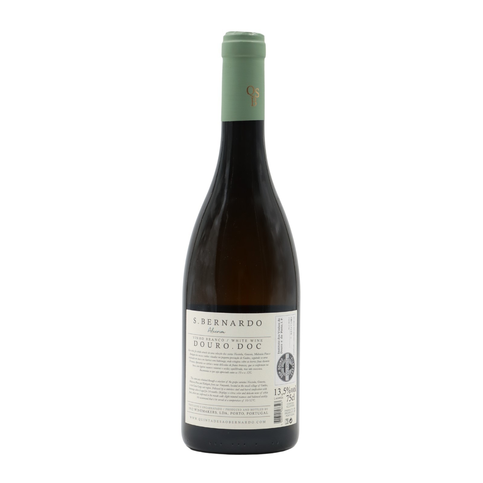 São Bernardo Alecrim White 2021
