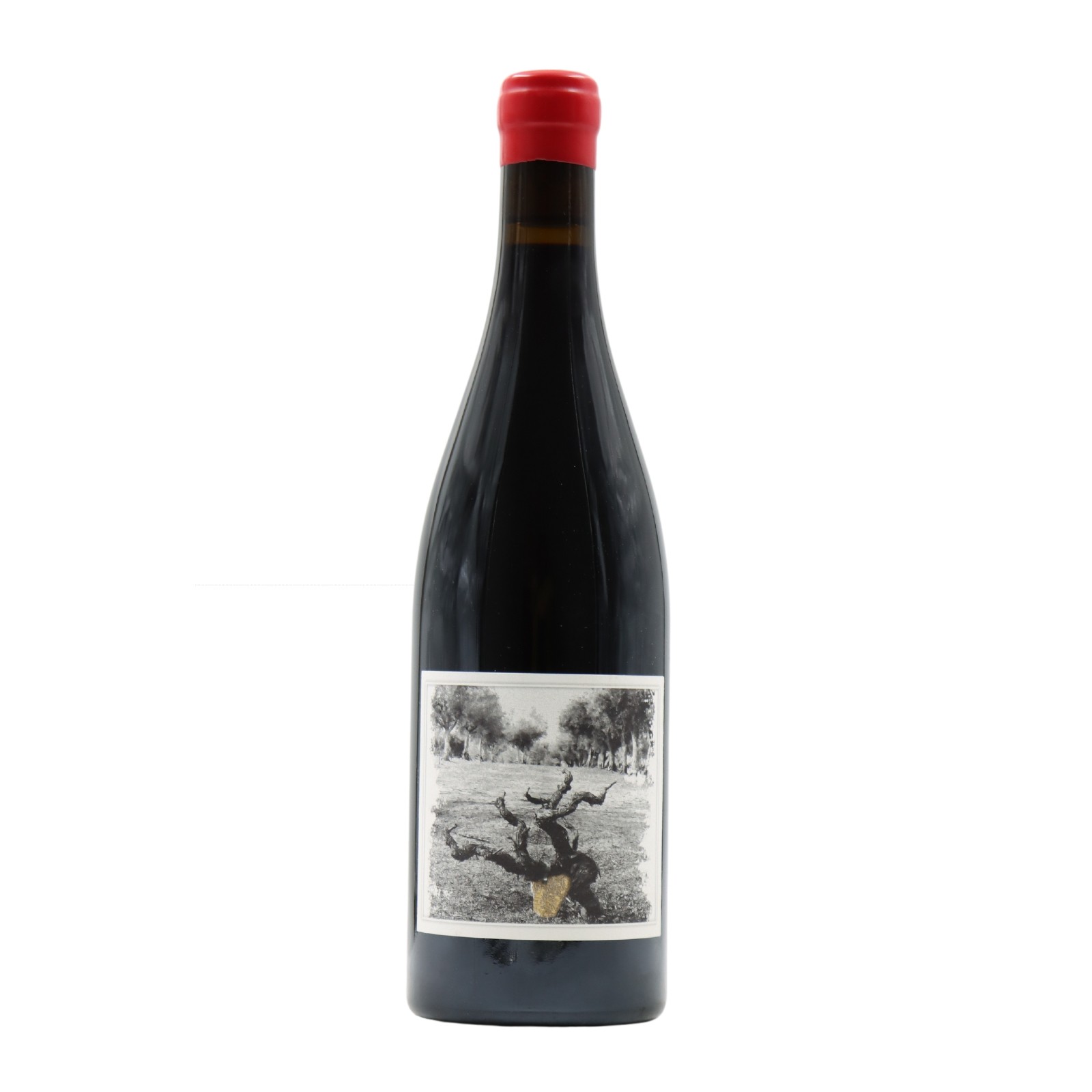 Quinta da Pellada Muleta Rot 2020