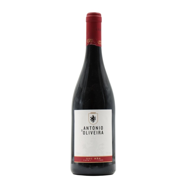 António de Oliveira Rot 2016