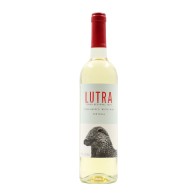 Lutra White 2022