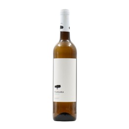 Planura White 2023