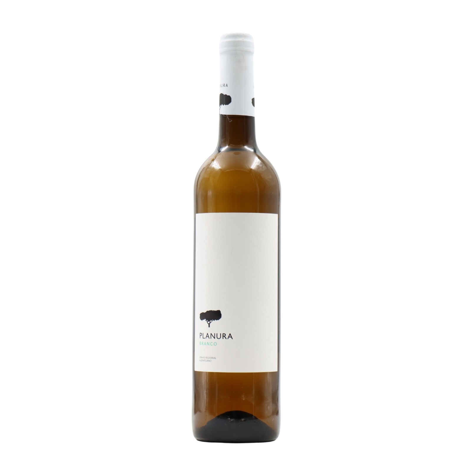 Planura White 2023