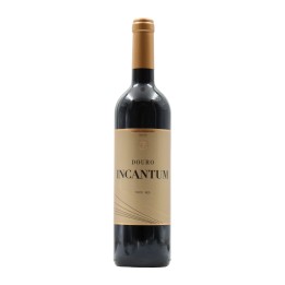 Incantum Tinto 2024
