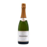 Sidónio de Sousa Special Cuvée White Brut Sparkling 2022