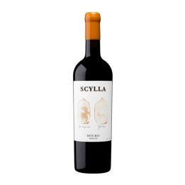 Scylla Amphora Rot 2019