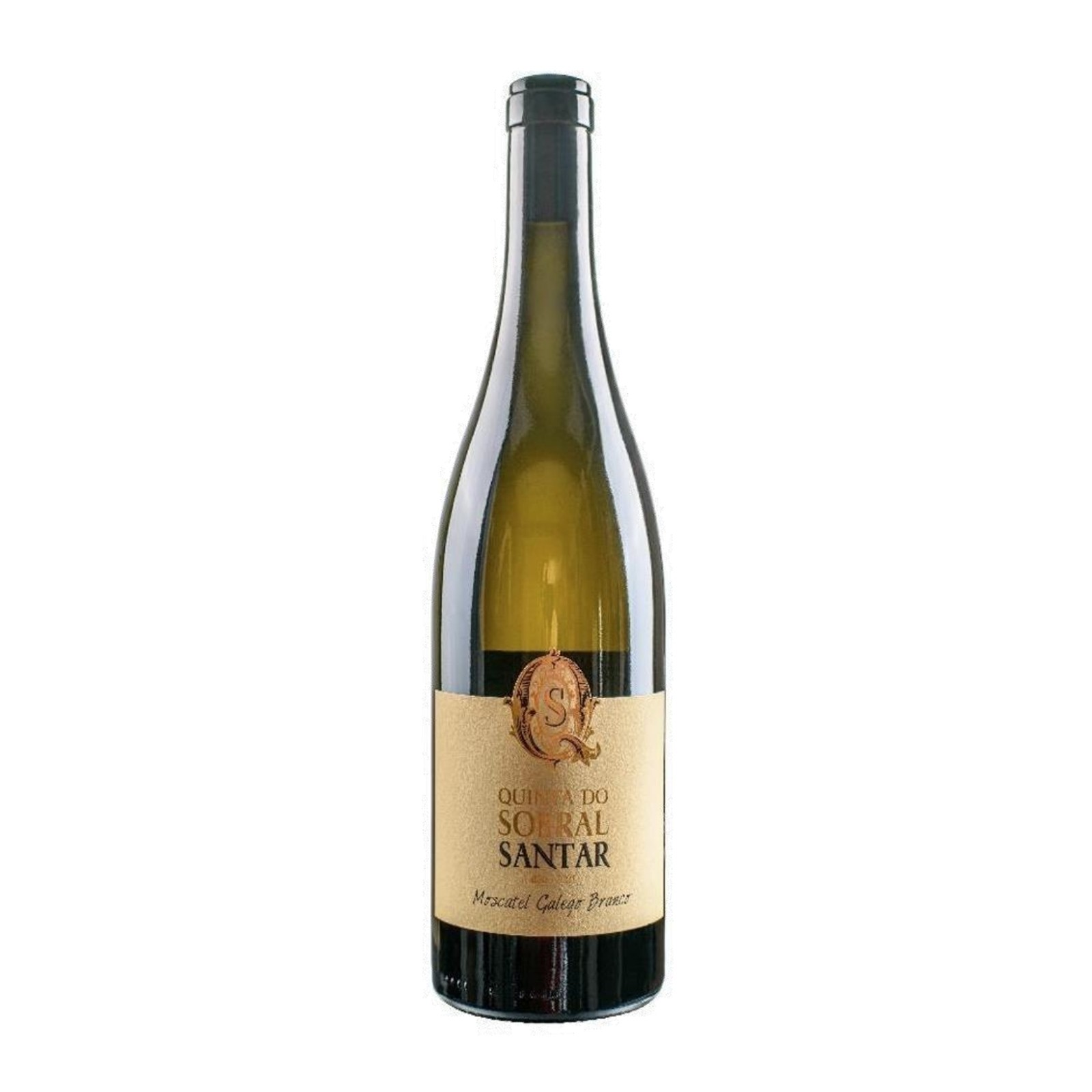 Quinta do Sobral de Santar Moscatel Galego White 2023