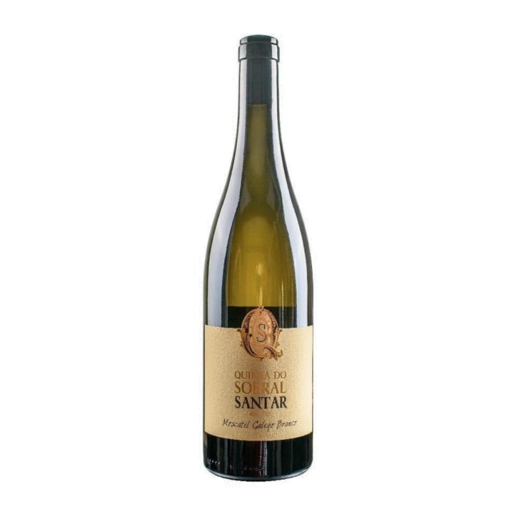 Quinta do Sobral de Santar Moscatel Galego White 2023