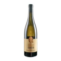 Quinta do Sobral de Santar Moscatel Galego White 2023