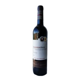 DoisPontoCinco Alfrocheiro Rufete Red 2011