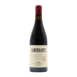 Caminhante Rot 2021