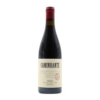 Caminhante Tinto 2021