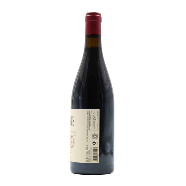 Caminhante Tinto 2021