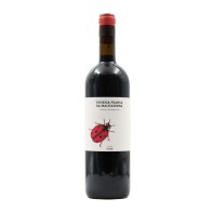 Touriga Franca da Malhadinha Red 2021