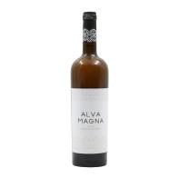 Alva Magna Curtimenta Réserve Blanc 2021