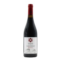 Quinta de Carvalhiços Reserve Red 2020