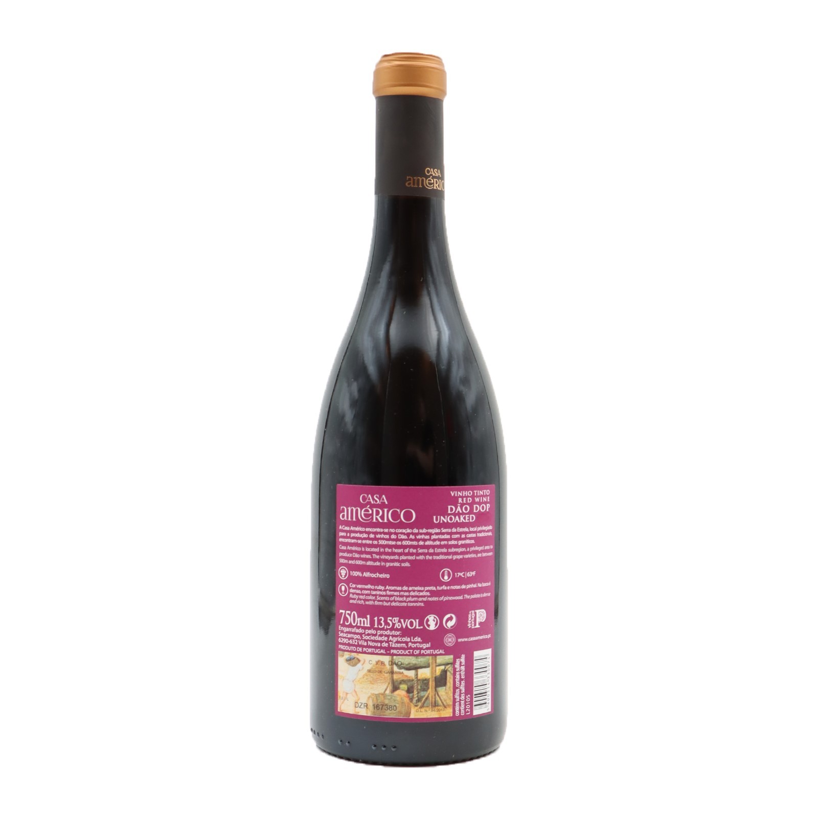 Casa Américo Alfrocheiro Red 2018