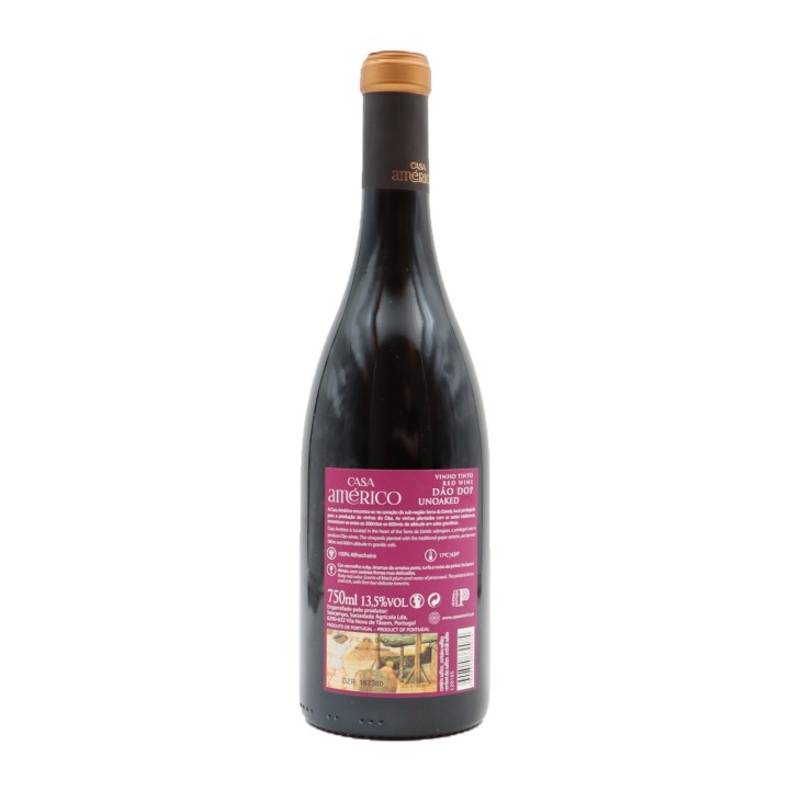 Casa Américo Alfrocheiro Red 2018