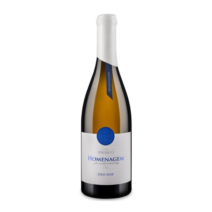 Casa Américo Homenagem White 2017