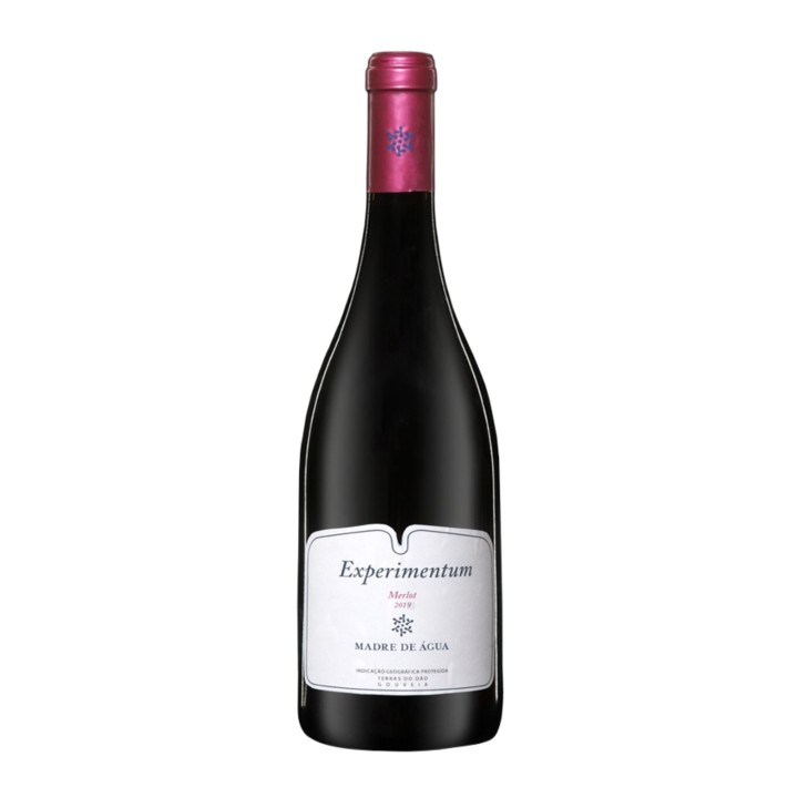 Madre de Água Experimentum Merlot Red 2019