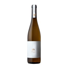Prova Nº5 Donzelinho White 2023