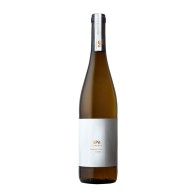 Prova Nº5 Donzelinho White 2023