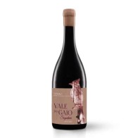 Cabeça de Gaio Signature Red 2020