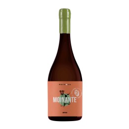 Moinante Amphora Red