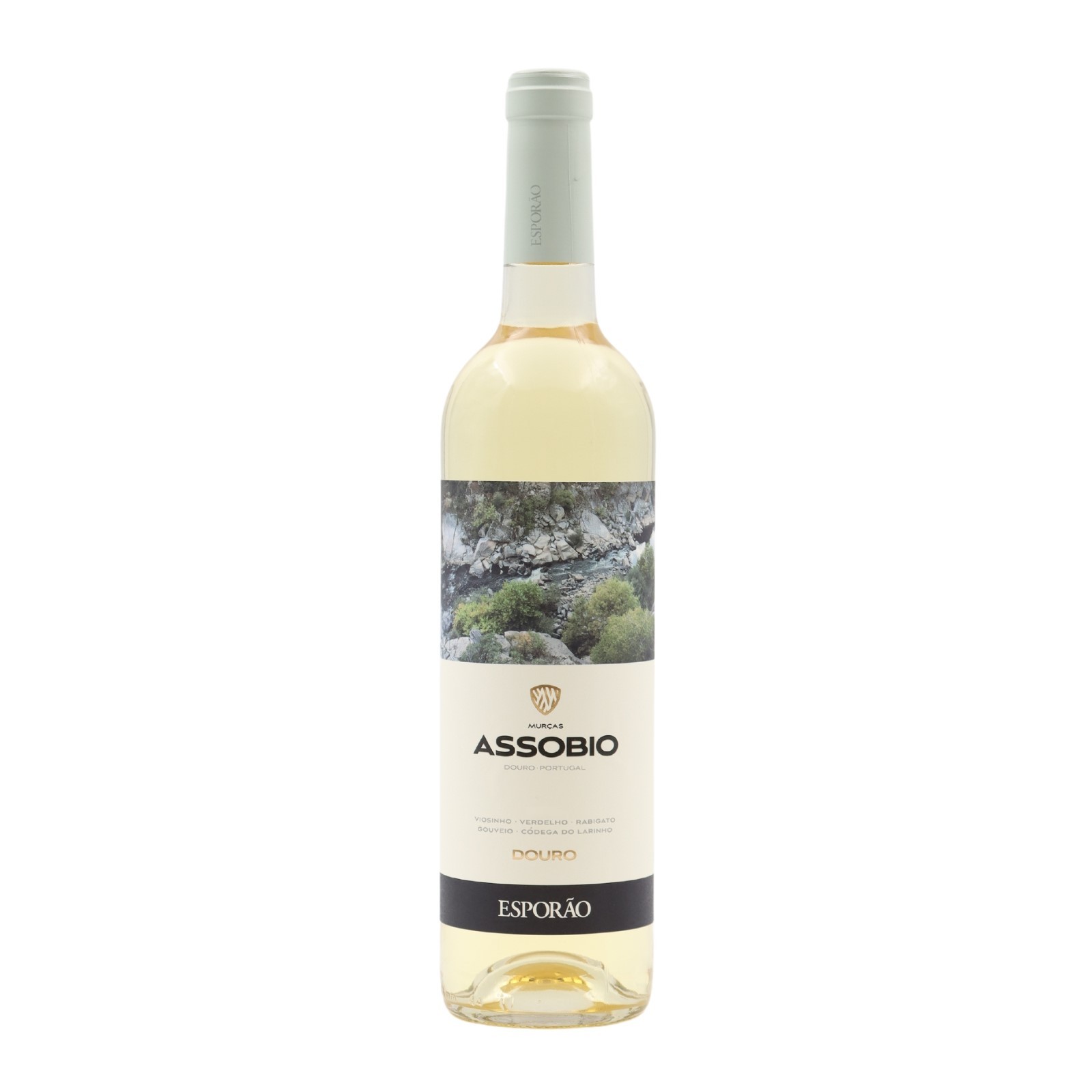 Assobio Blanco 2023