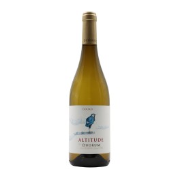 Altitude by Duorum White 2024
