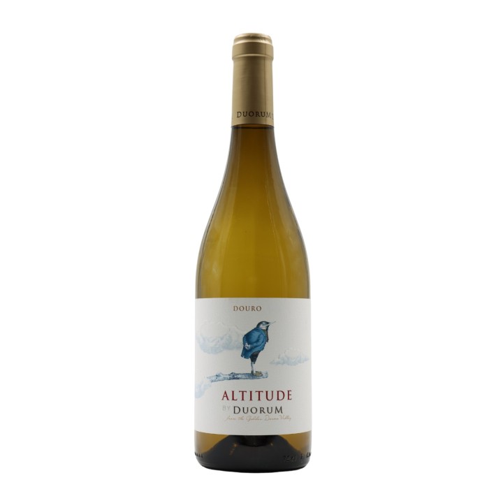 Altitude by Duorum White 2024