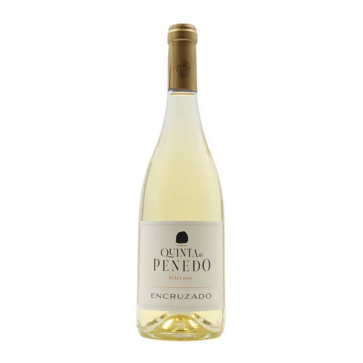 Quinta do Penedo Encruzado Weiß 2023