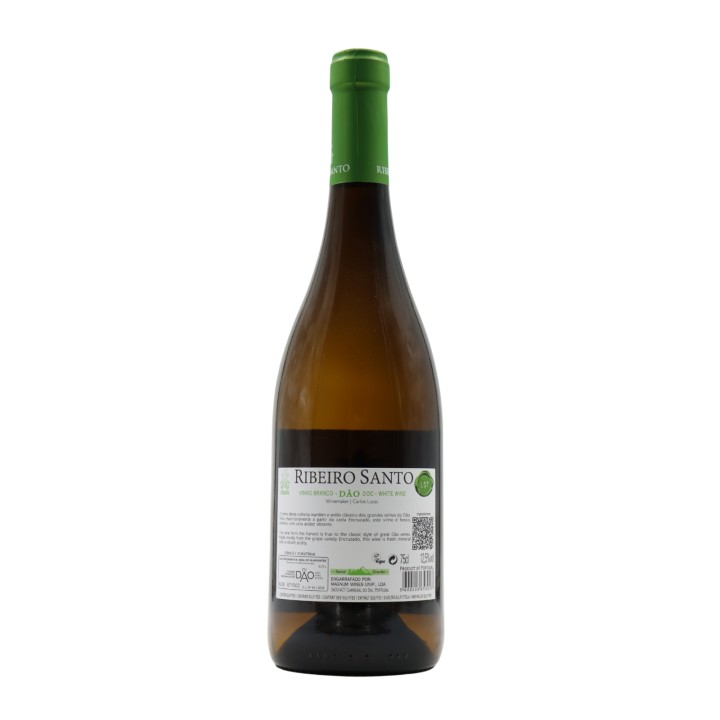 Ribeiro Santo Bianco 2024