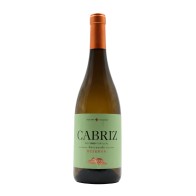 Quinta de Cabriz Encruzado Reserve White 2024