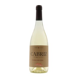 Quinta de Cabriz Touriga Nacional White 2023