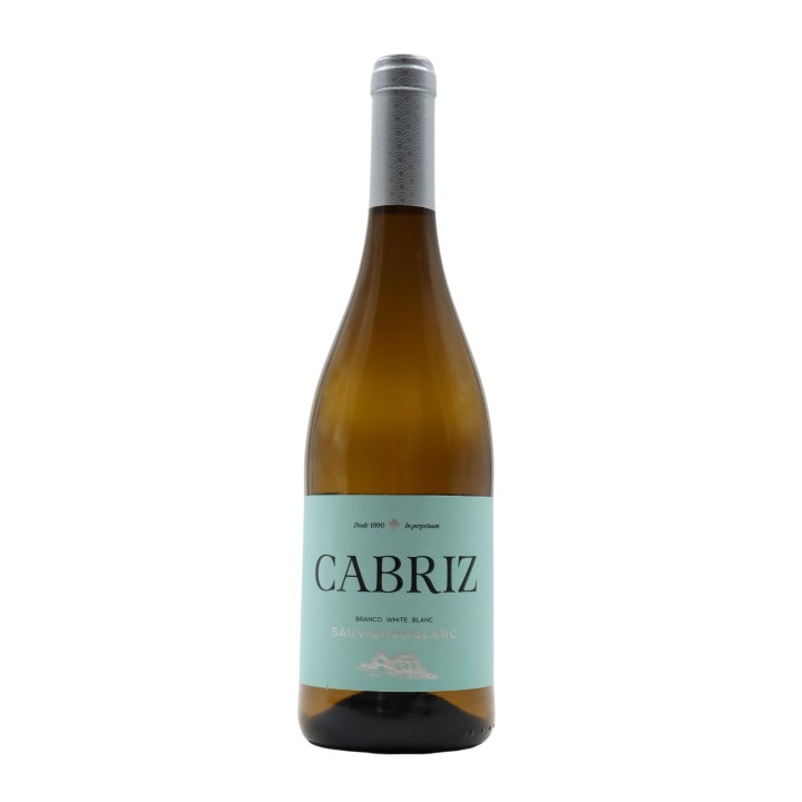 Quinta de Cabriz Sauvignon Blanc White 2024