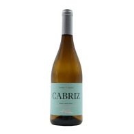 Quinta de Cabriz Sauvignon Blanc Weiß 2024