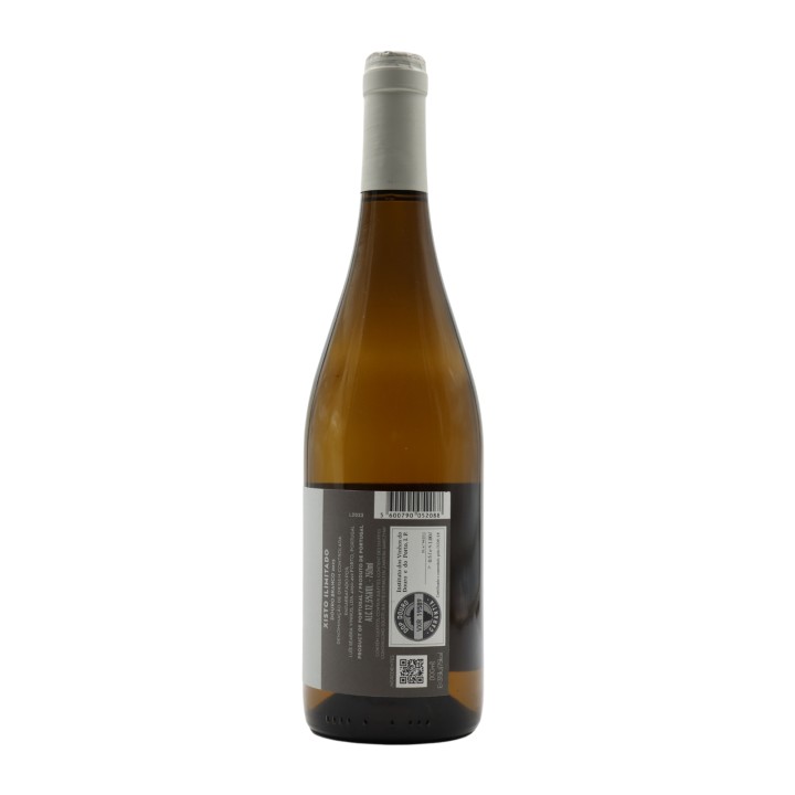 Xisto Ilimitado White 2024