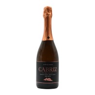 Cabriz Medium Dry Sparkling