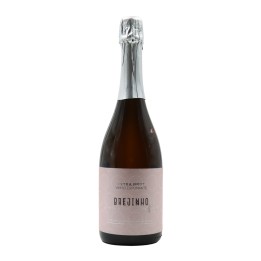 Brejinho da Costa Rosé Extra Brut Sparkling 2022