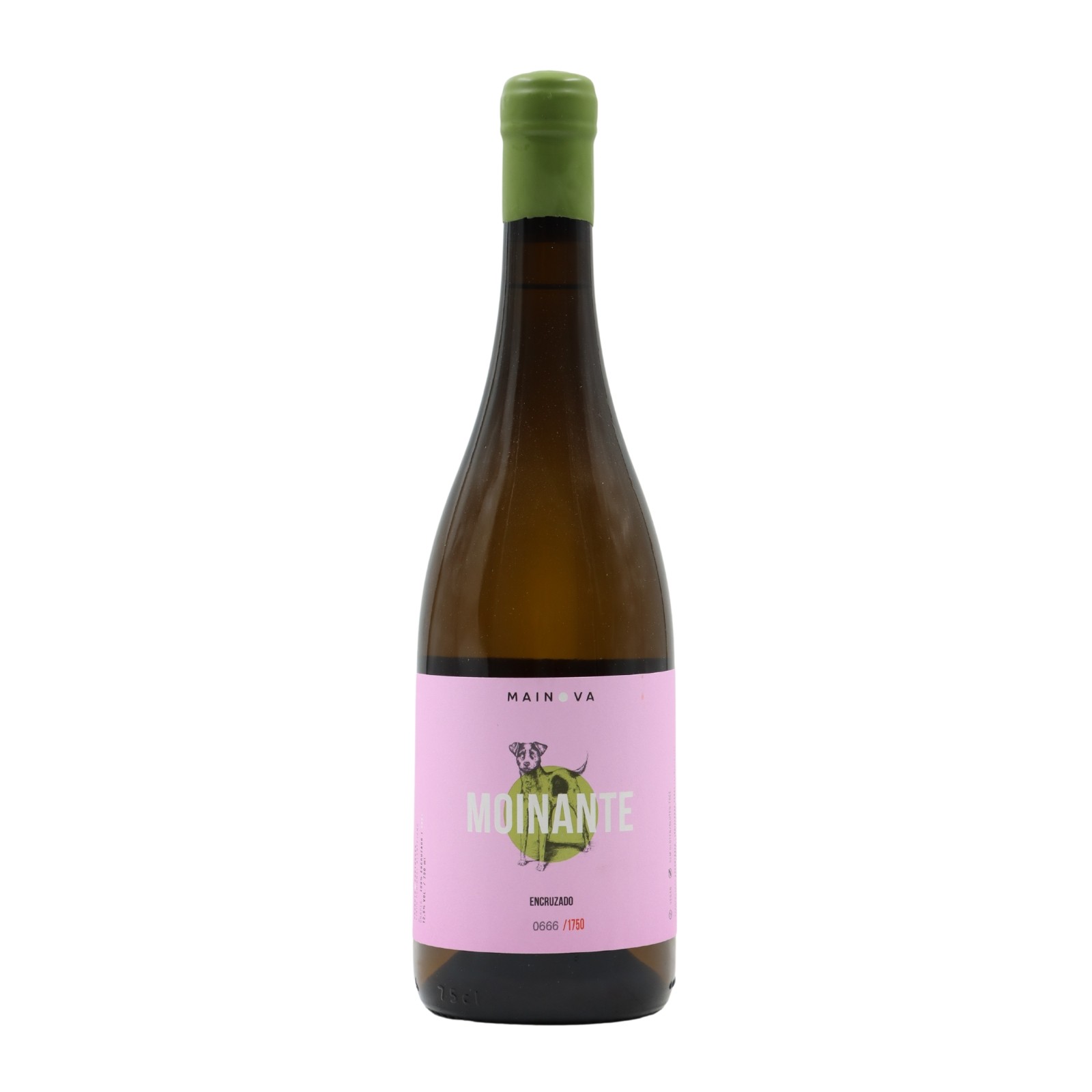 Moinante Encruzado Blanc 2021