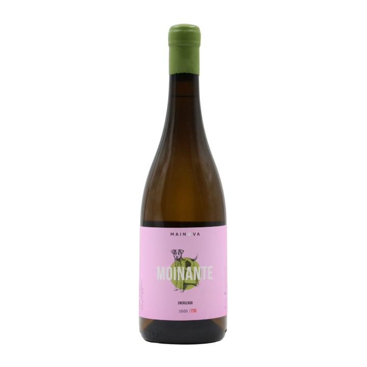 Moinante Encruzado Blanc 2021